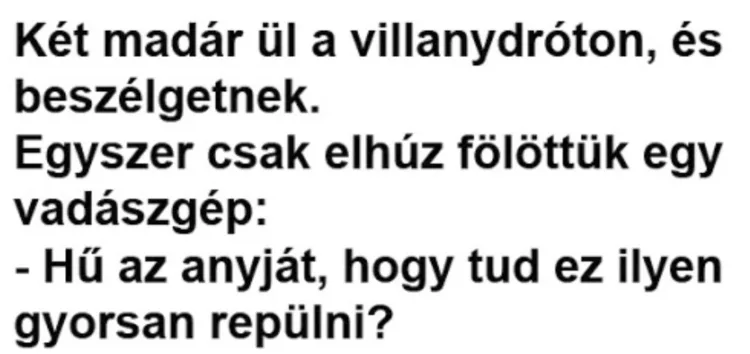 Vicc: Két madár ül a villanydróton, és beszélgetnek