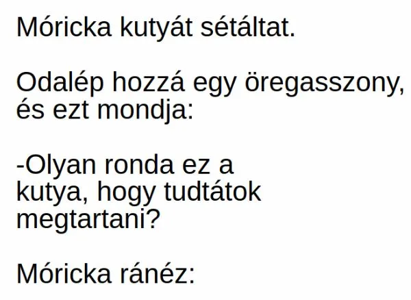 Vicc: Móricka kutyát sétáltat. Odalép hozzá egy öregasszony, és ezt…