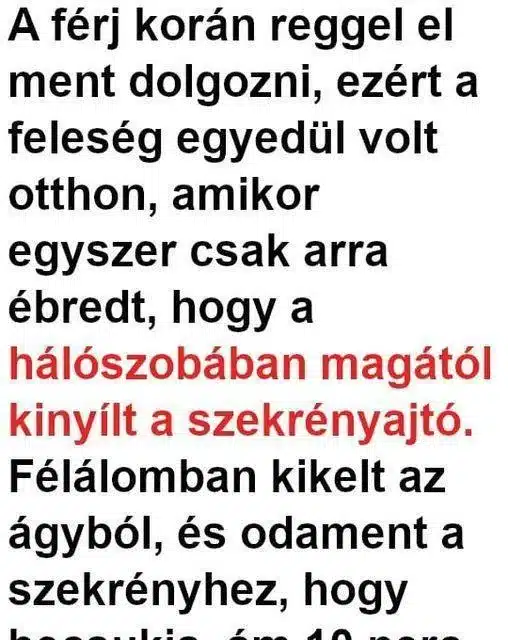 Vicc: POÉN: A férj egy idegen fickót talált a szekrényben,…