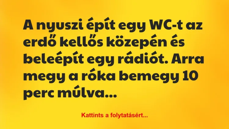 Vicc: A nyuszi épít egy WC-t az erdő kellős közepén és…