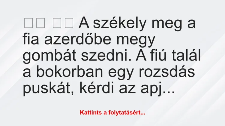 Vicc: 
		  
		  A székely meg a fia azerdőbe megy gombát…