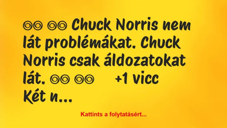 Vicc: 
		  
		  Chuck Norris nem lát problémákat. Chuck Norris…