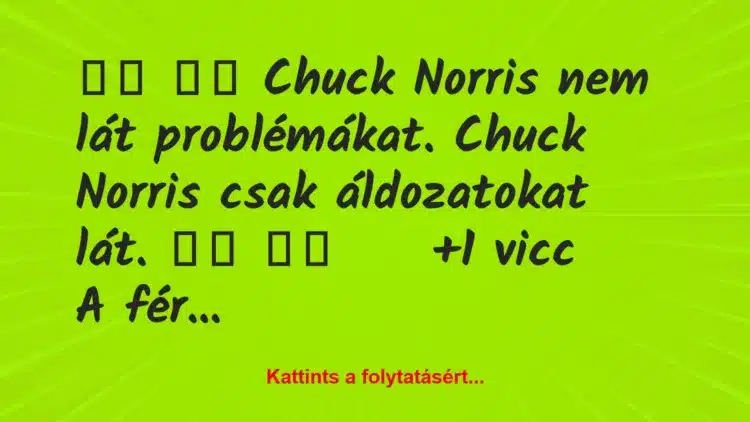 Vicc: 
		  
		  Chuck Norris nem lát problémákat. Chuck Norris…