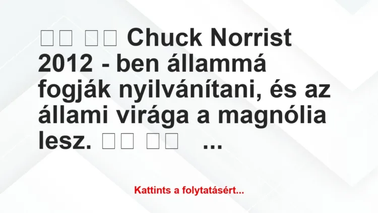 Vicc: 
		  
		  Chuck Norrist 2012 – ben állammá fogják…