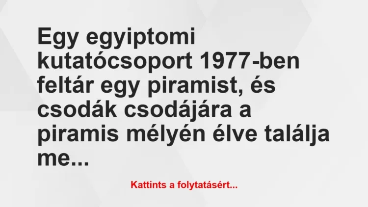 Vicc: Egy egyiptomi kutatócsoport 1977-ben feltár egy…