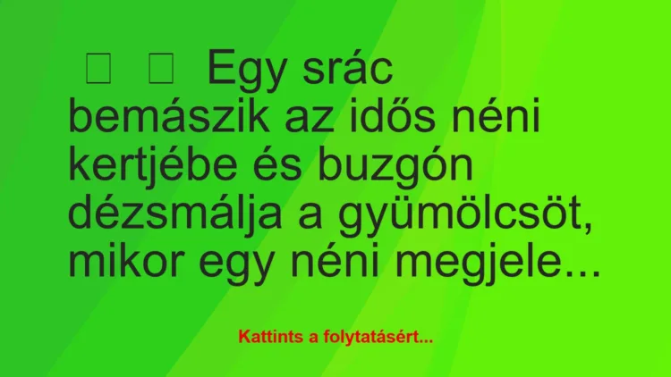 Vicc: 
	    	    Egy srác bemászik az idős néni kertjébe és buzgón dézsmálja…