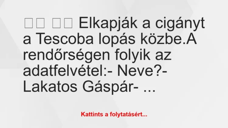 Vicc: 
		  
		  Elkapják a cigányt a Tescoba lopás közbe.A…