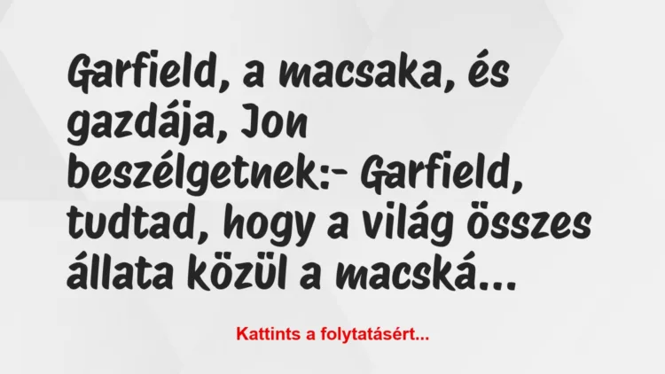 Vicc: Garfield, a macsaka, és gazdája, Jon beszélgetnek:

– Garfield,…