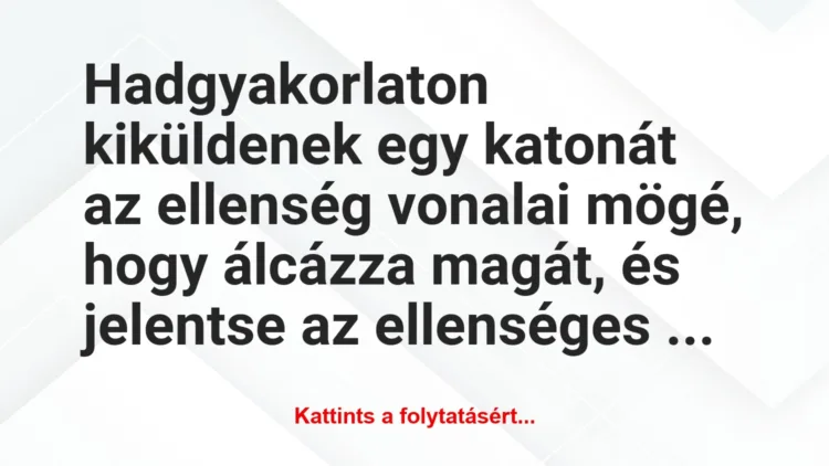 Vicc: Hadgyakorlaton kiküldenek egy katonát az ellenség vonalai mögé, hogy…