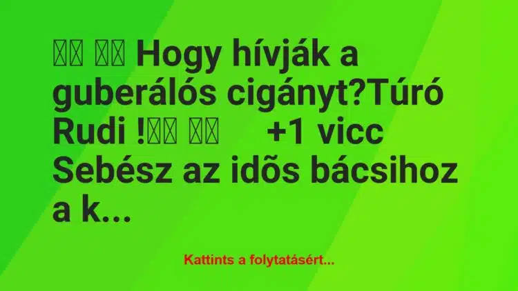 Vicc:
Hogy hívják a guberálós cigányt?Túró Rudi…