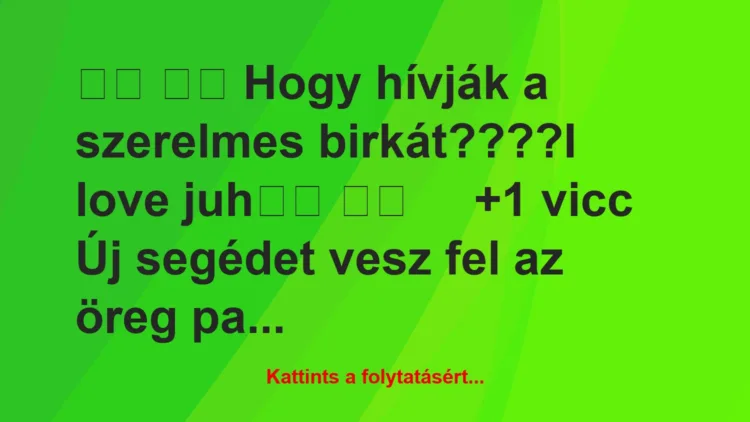 Vicc: 
		  
		  Hogy hívják a szerelmes birkát????I love …