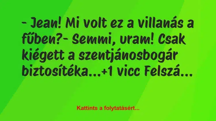 Vicc: – Jean! Mi volt ez a villanás a fűben?

– Semmi, uram! Csak…