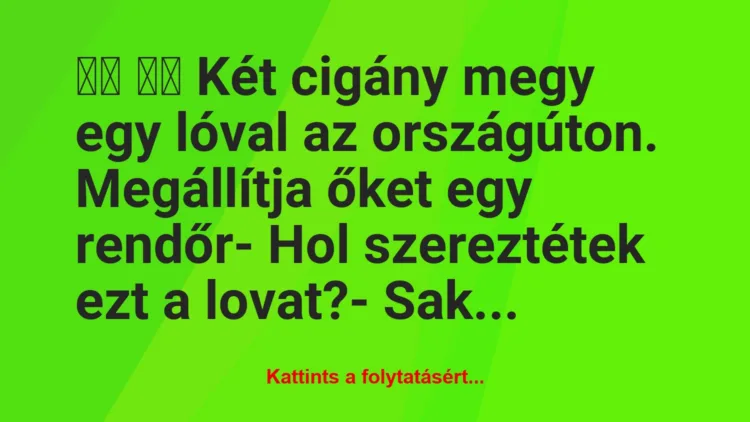 Vicc: 
		  
		  Két cigány megy egy lóval az…