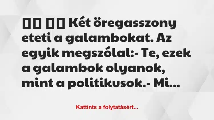 Vicc: 
		  
		  Két öregasszony eteti a galambokat. Az egyik…