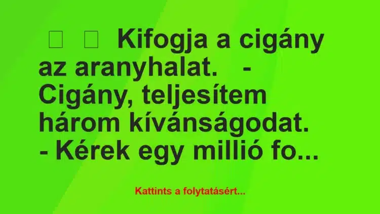 Vicc: 
	    	    Kifogja a cigány az aranyhalat.


-…