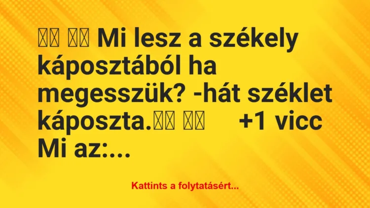 Vicc: 
		  
		  Mi lesz a székely káposztából ha megesszük?…