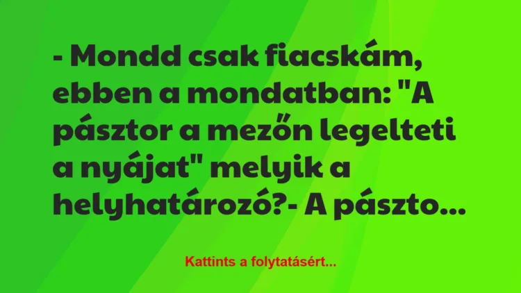 Vicc: – Mondd csak fiacskám, ebben a mondatban: „A pásztor a mezőn legelteti…