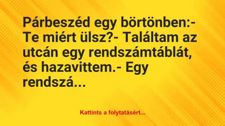 Vicc: Párbeszéd egy börtönben:

– Te miért ülsz?

– Találtam az…