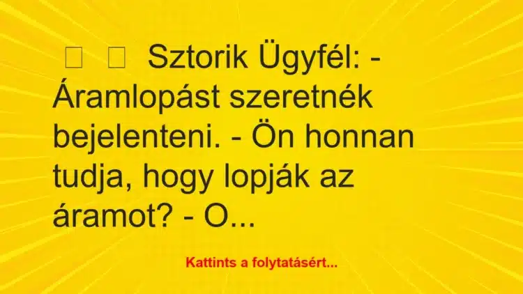 Vicces történet: 
	    	    Sztorik


Ügyfél:


– Áramlopást…