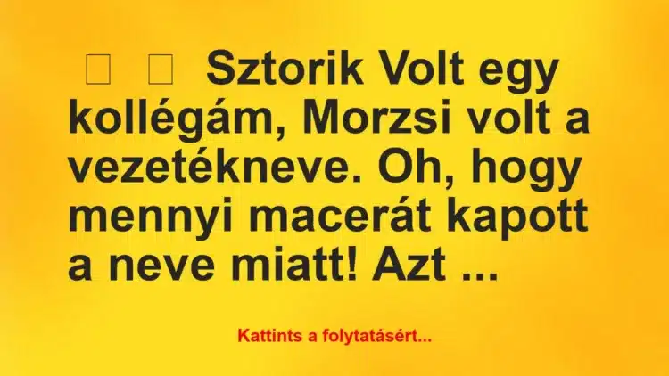 Vicces történet: 
	    	    Sztorik


Volt egy kollégám, Morzsi volt…